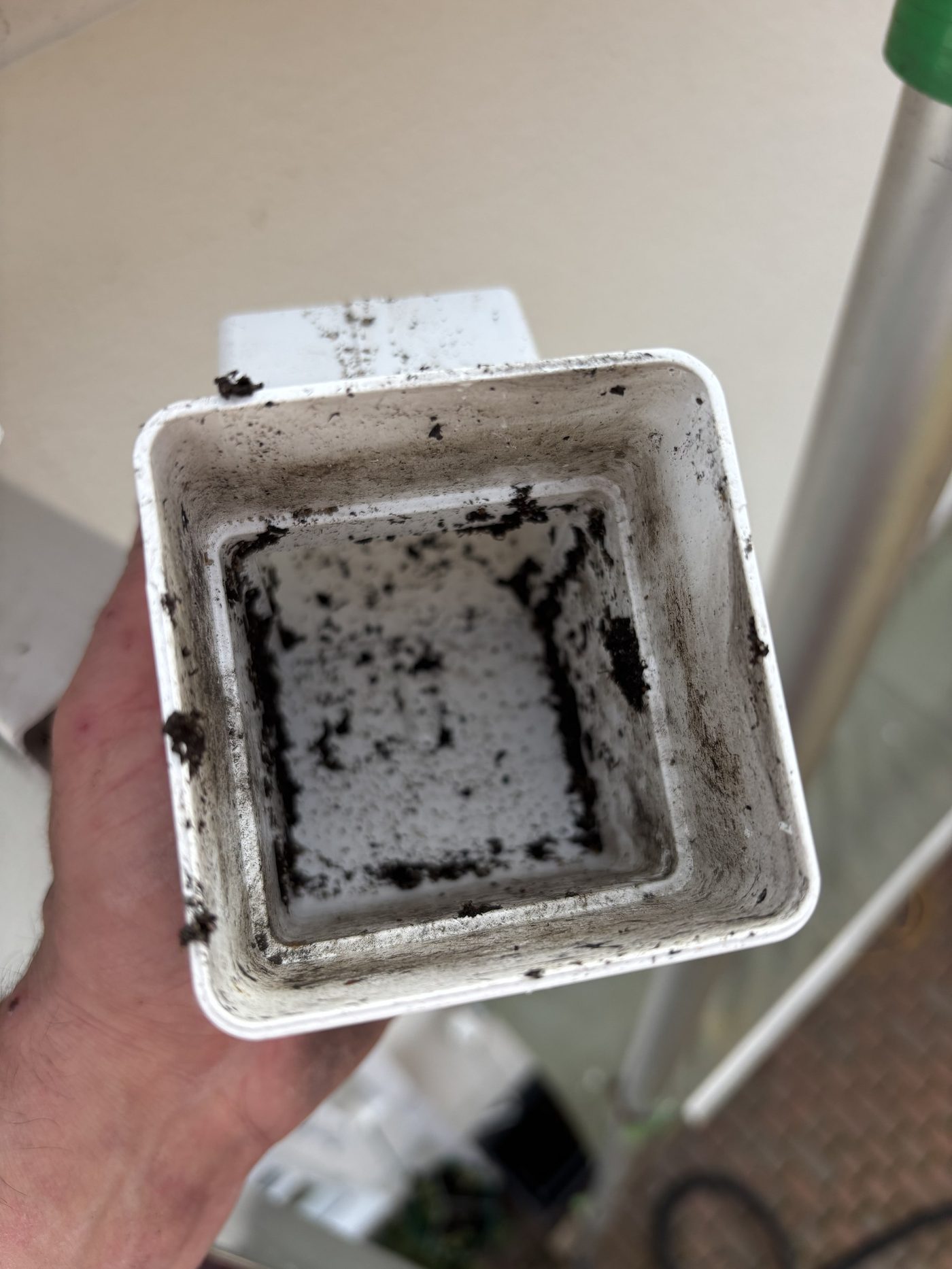Downpipe hopper after cleaning