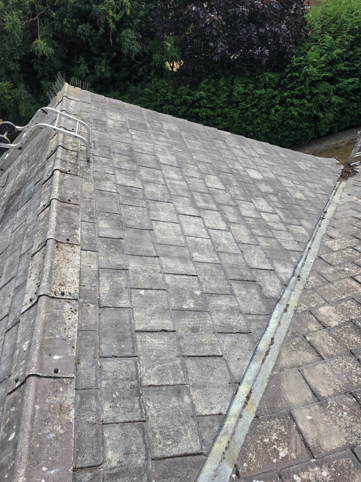 Roof tiles clear of moss after scraping and biocide treatment